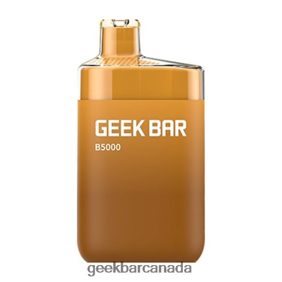 Geek Bar B5000 Disposable - Geek Bar Canada T2PT4431 Lemon Iced Tea