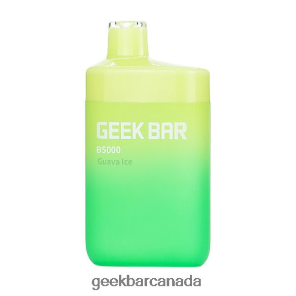 Geek Bar B5000 Disposable - Geek Bar Online T2PT4429 Guava Ice