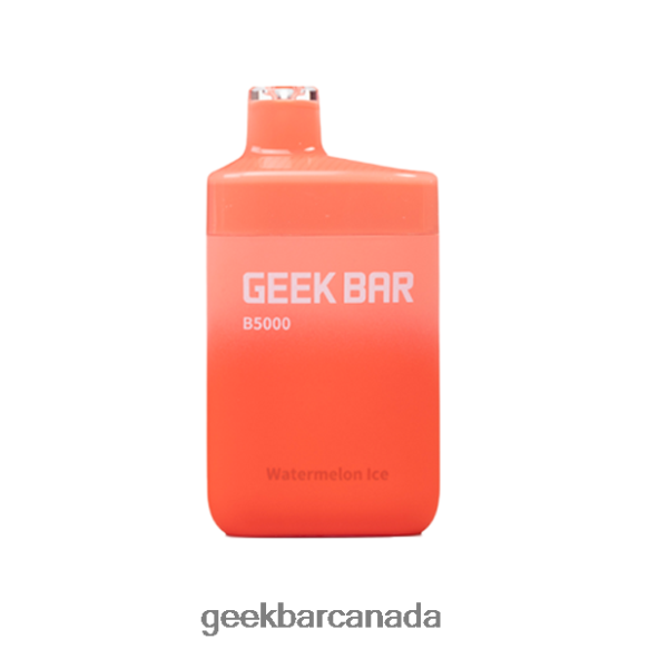 Geek Bar B5000 Disposable - Geek Bar Online T2PT4439 Watermelon Ice