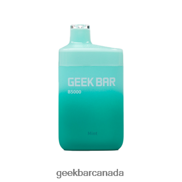 Geek Bar B5000 Disposable - Geek Bar Price T2PT4432 Mint