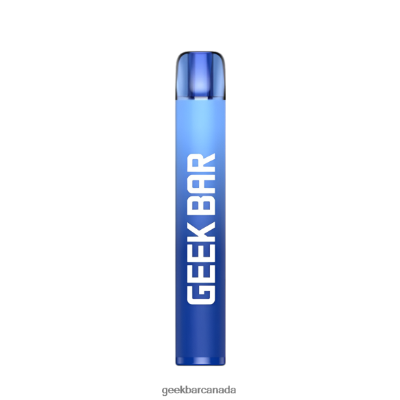 Geek Bar E600 Disposable Vape - Geek Bar Toronto T2PT44195 Blueberry Raspberry