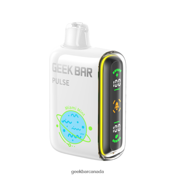 Geek Bar Pulse 15K Disposable Vape - Geek Bar Montreal T2PT4456 Miami Mint