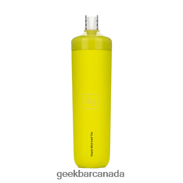 Geek Bar X6000 TF-Nic Disposable - Geek Vape Canada T2PT448 Peach Mint Iced Tea